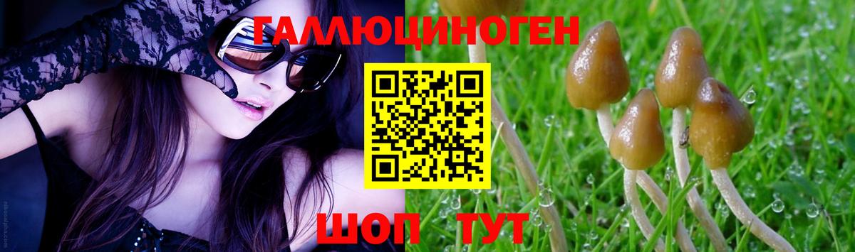 Галлюциногенные грибы MAGIC MUSHROOMS  Псилоцибиновые грибы ЛСД  Вход с VPN  Гурьевск 